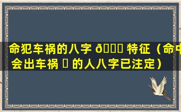 命犯车祸的八字 🍁 特征（命中会出车祸 ☘ 的人八字已注定）